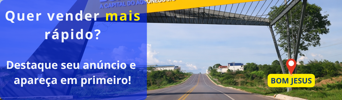 Bandeira 5